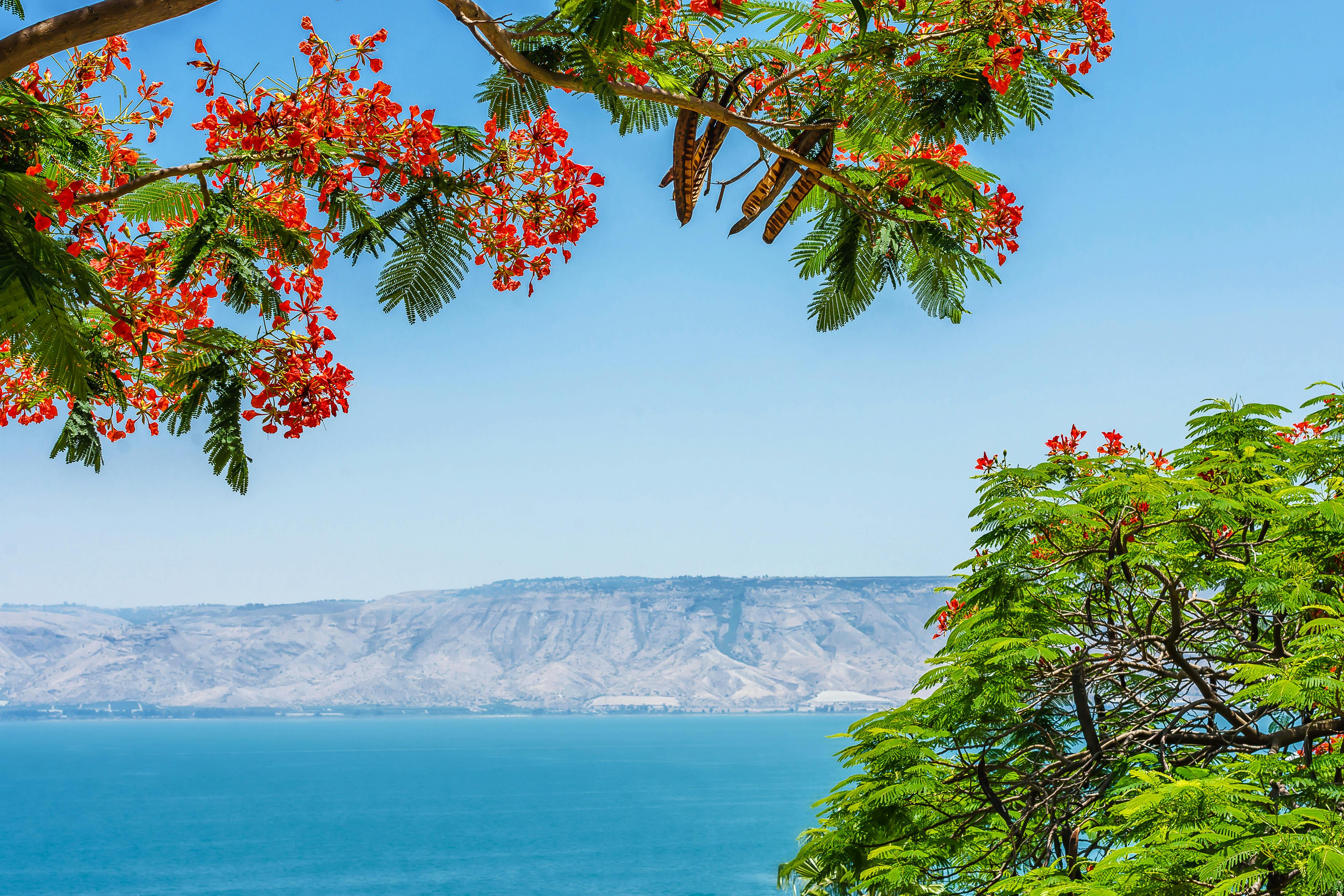 Sea of Galilee 2.jpg