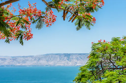 Sea of Galilee 2.jpg