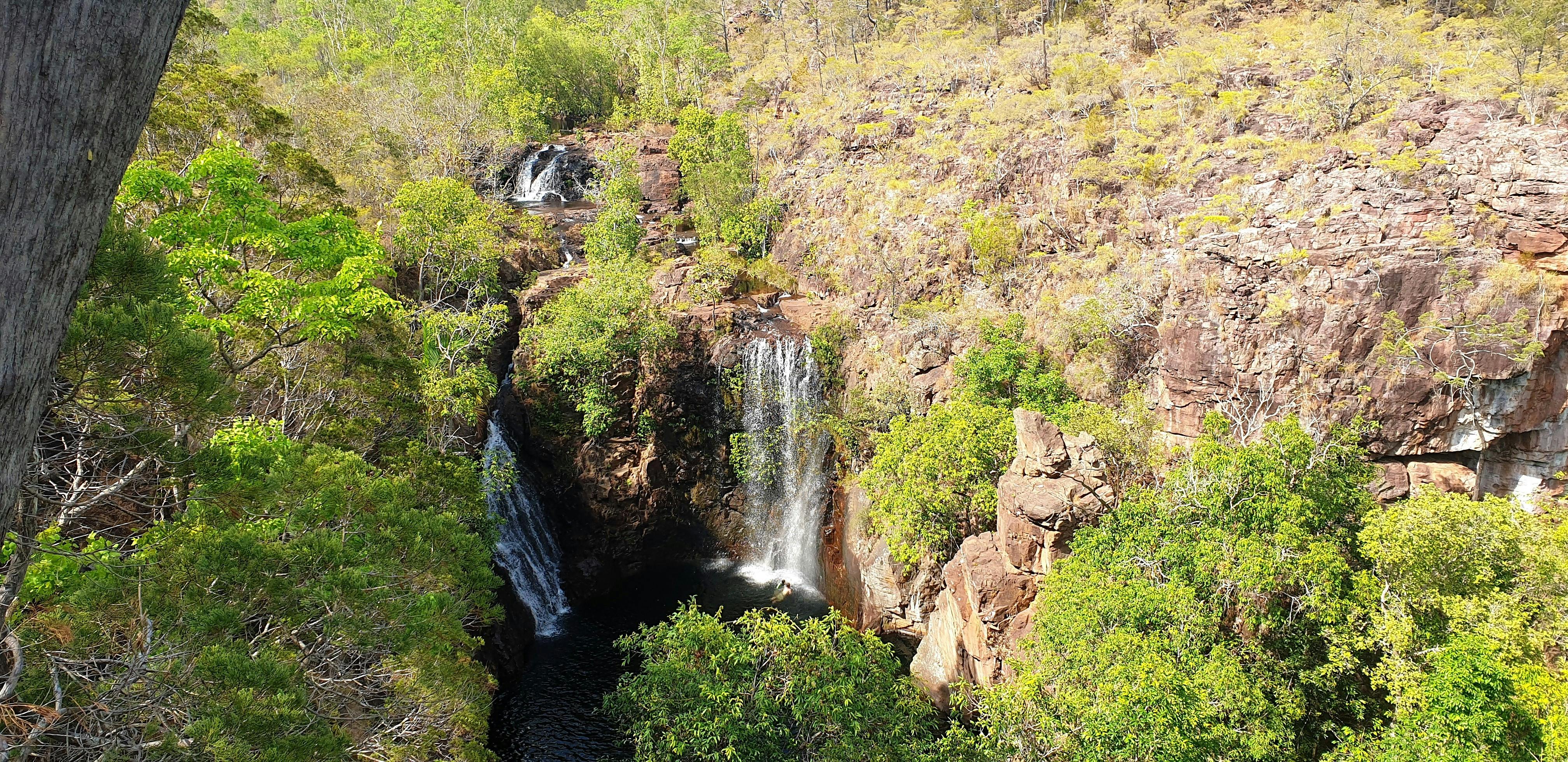 Florence Falls from lookout.jpg