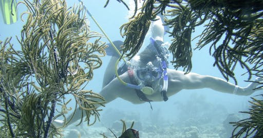 02_De Palm Island - SNUBA.jpg