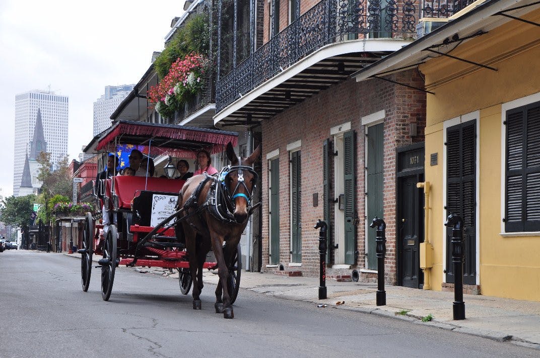 royal-carriages-french-quarter-history-group-carriage-tour-of-new-orleans-003-resized.jpg