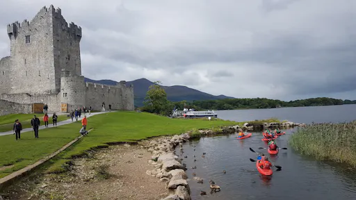 2309ace6-54e8-4217-b78b-399df1b9e48a (1).jpeg