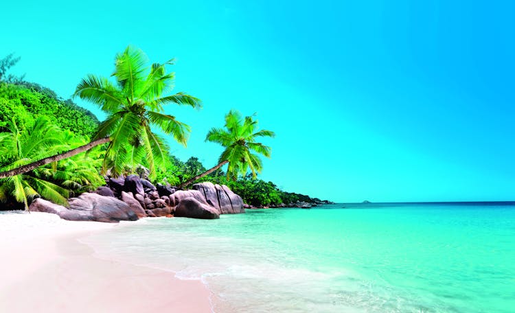 15 or 30-minute Praslin and La Digue helicopter tour from Praslin