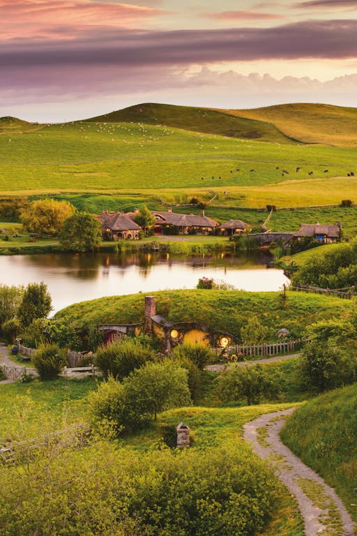 Hobbiton-Express-Tour-Bush-and-Beach-8.jpg