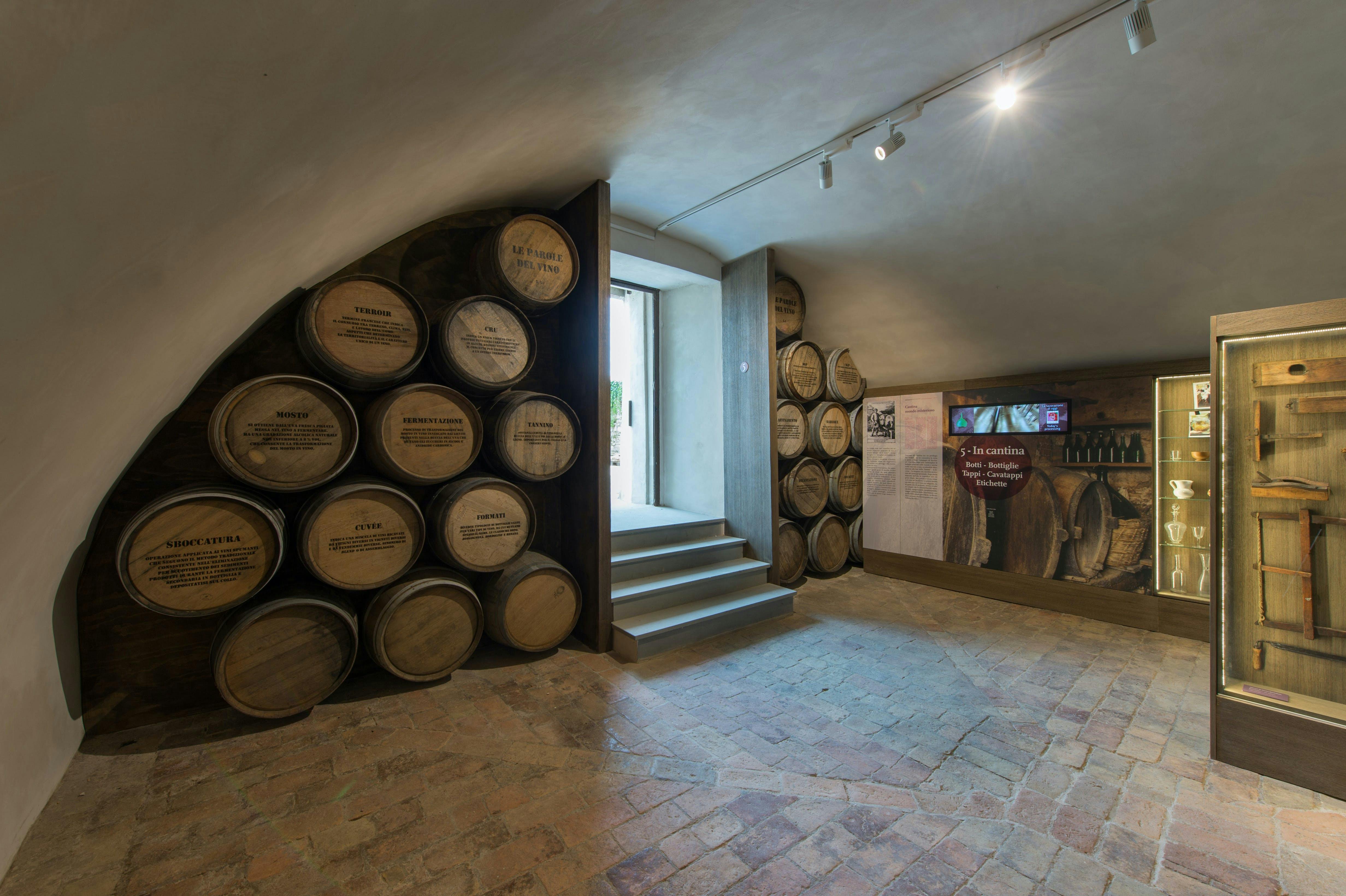 09 - Museo del Vino dei Colli di Parma - Sala Baganza (PR) (Foto L. Rossi)_DSC9524 copia 2.jpg
