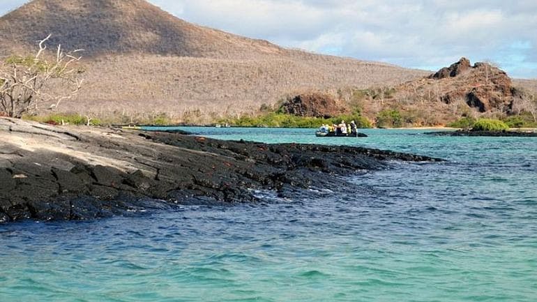 Floreana Island Galapagos 5.jpg