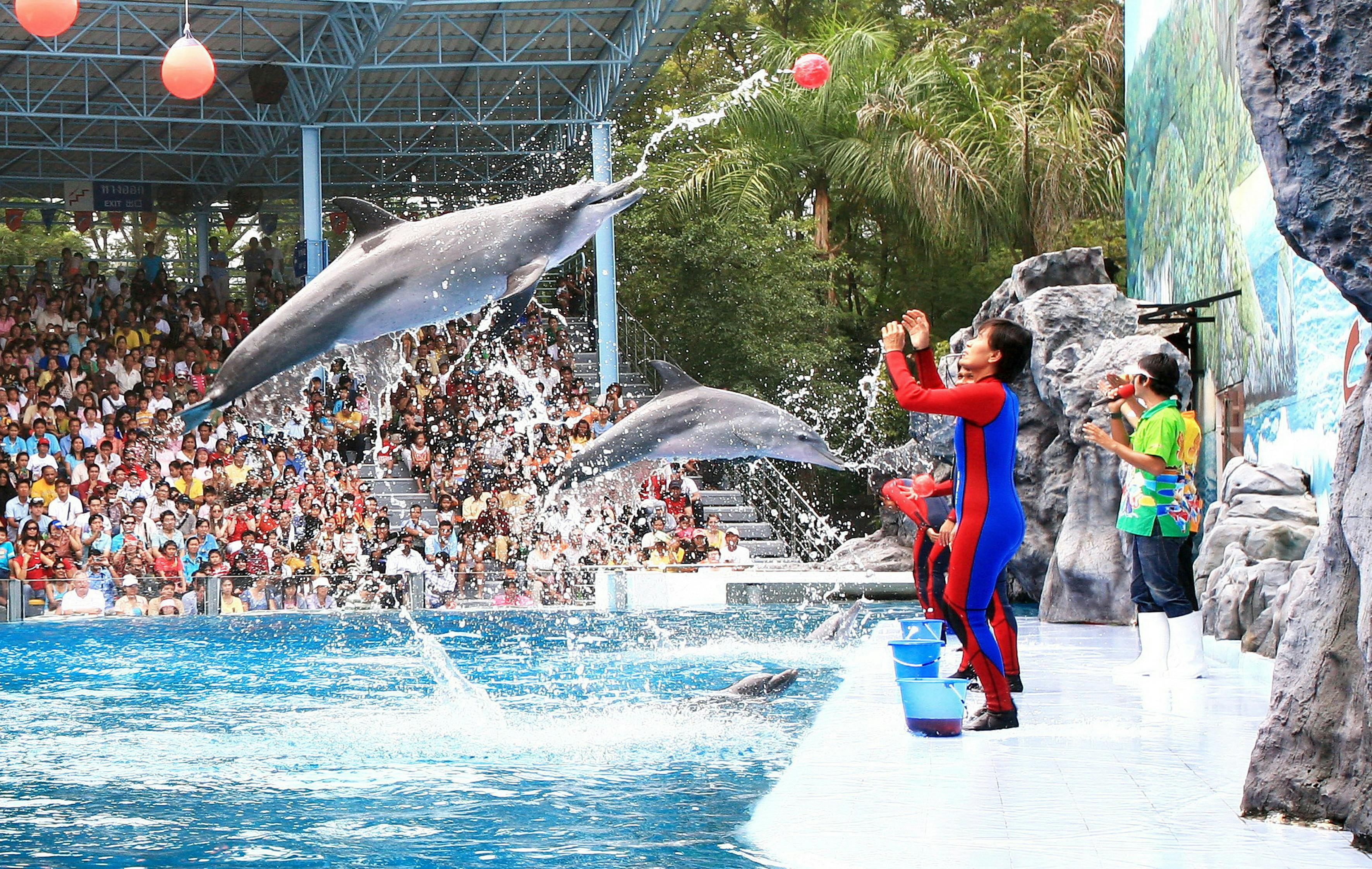 Safari World _Dolphin Show.jpg