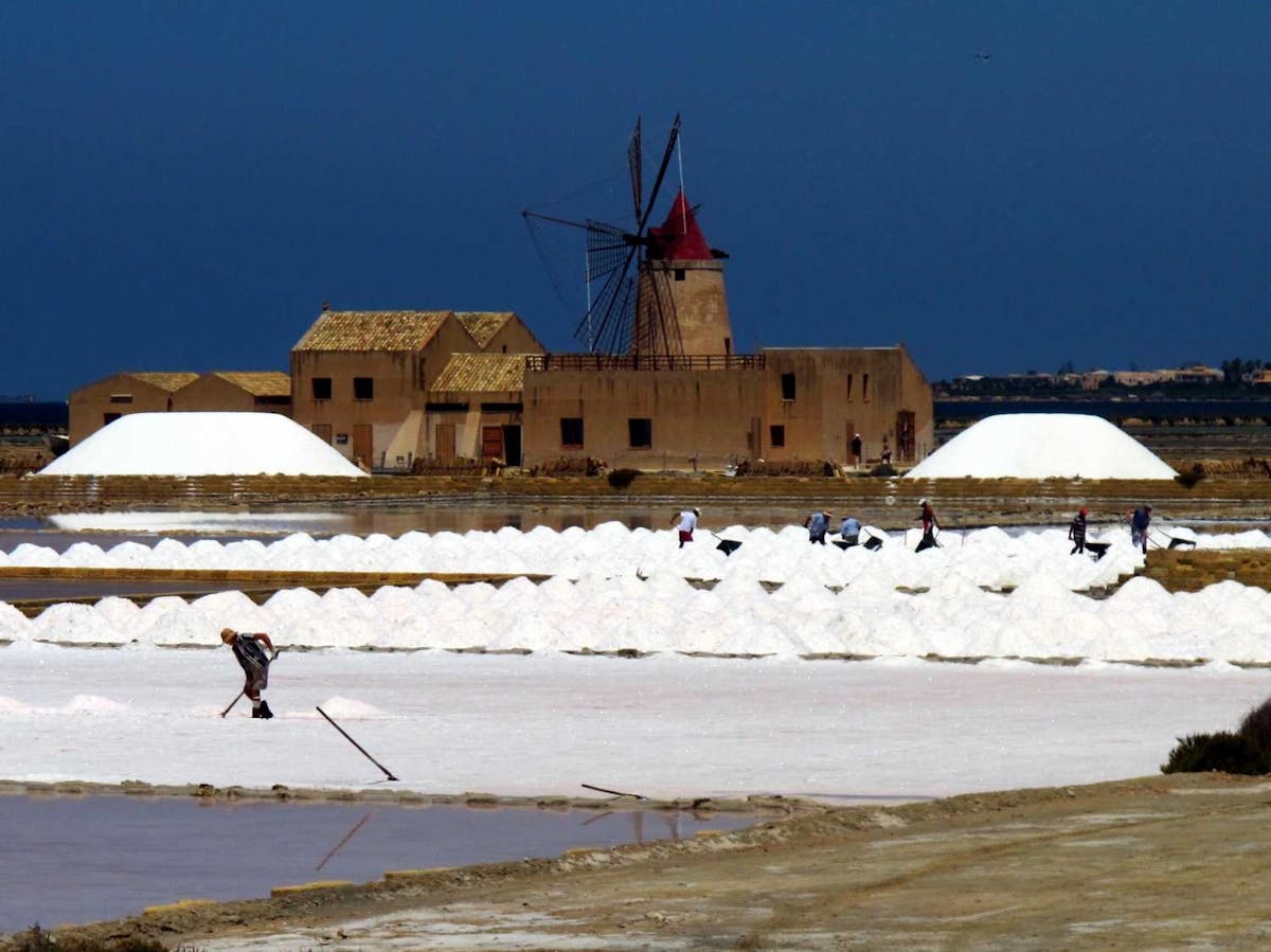 Salt-harvesting8977546.jpg