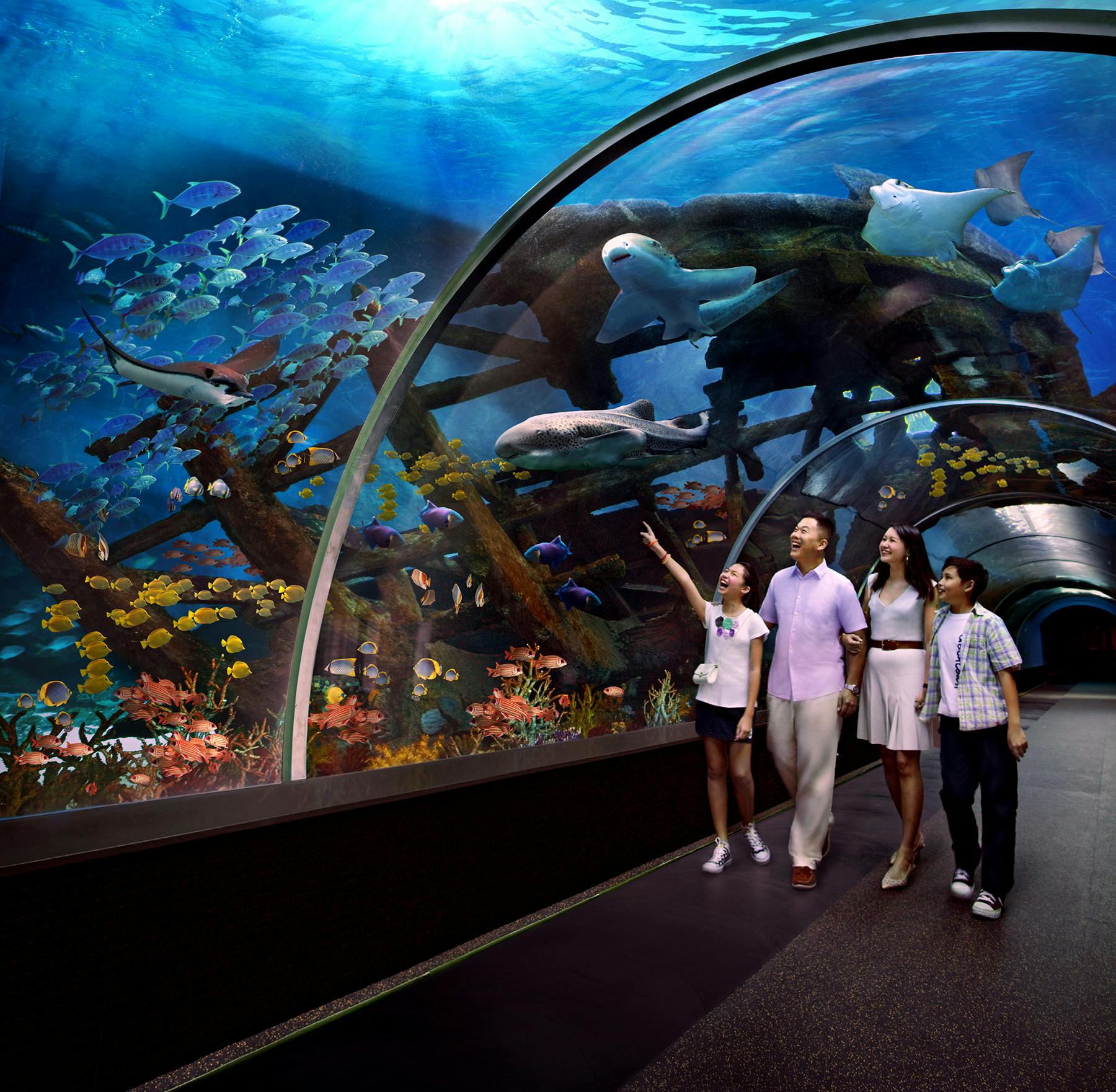 S.E.A Aquarium Shipwreck Tunnel.jpg
