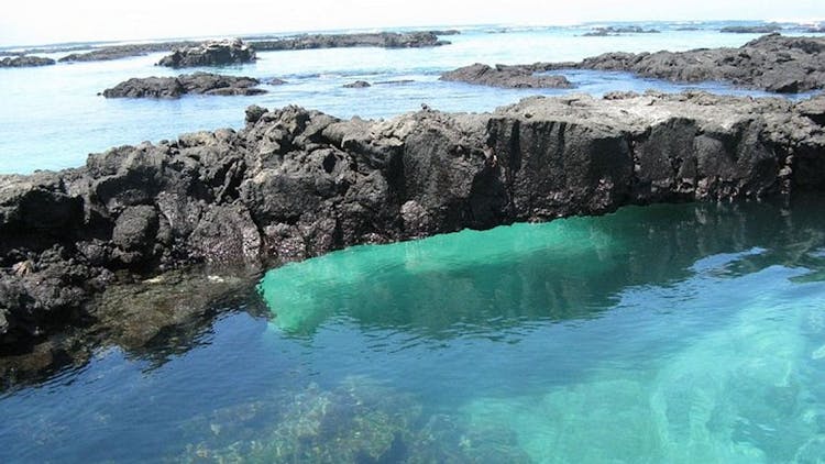 Lava Tunnels full-day tour from Isabela Island