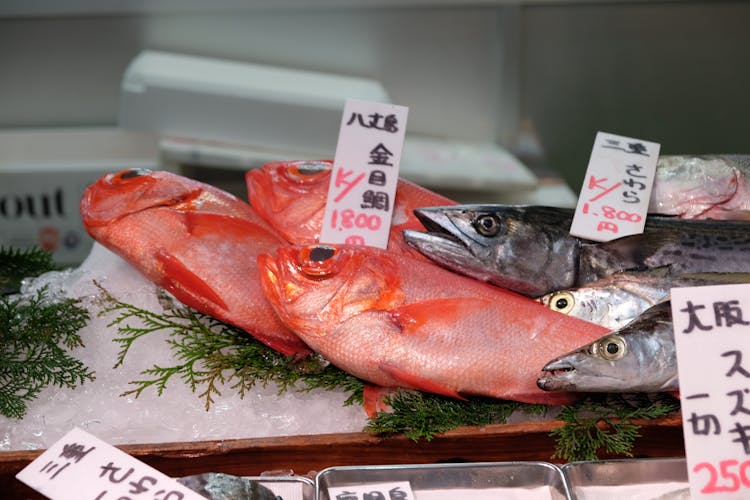 Tokyo's Tsukiji Fish Market guided tour