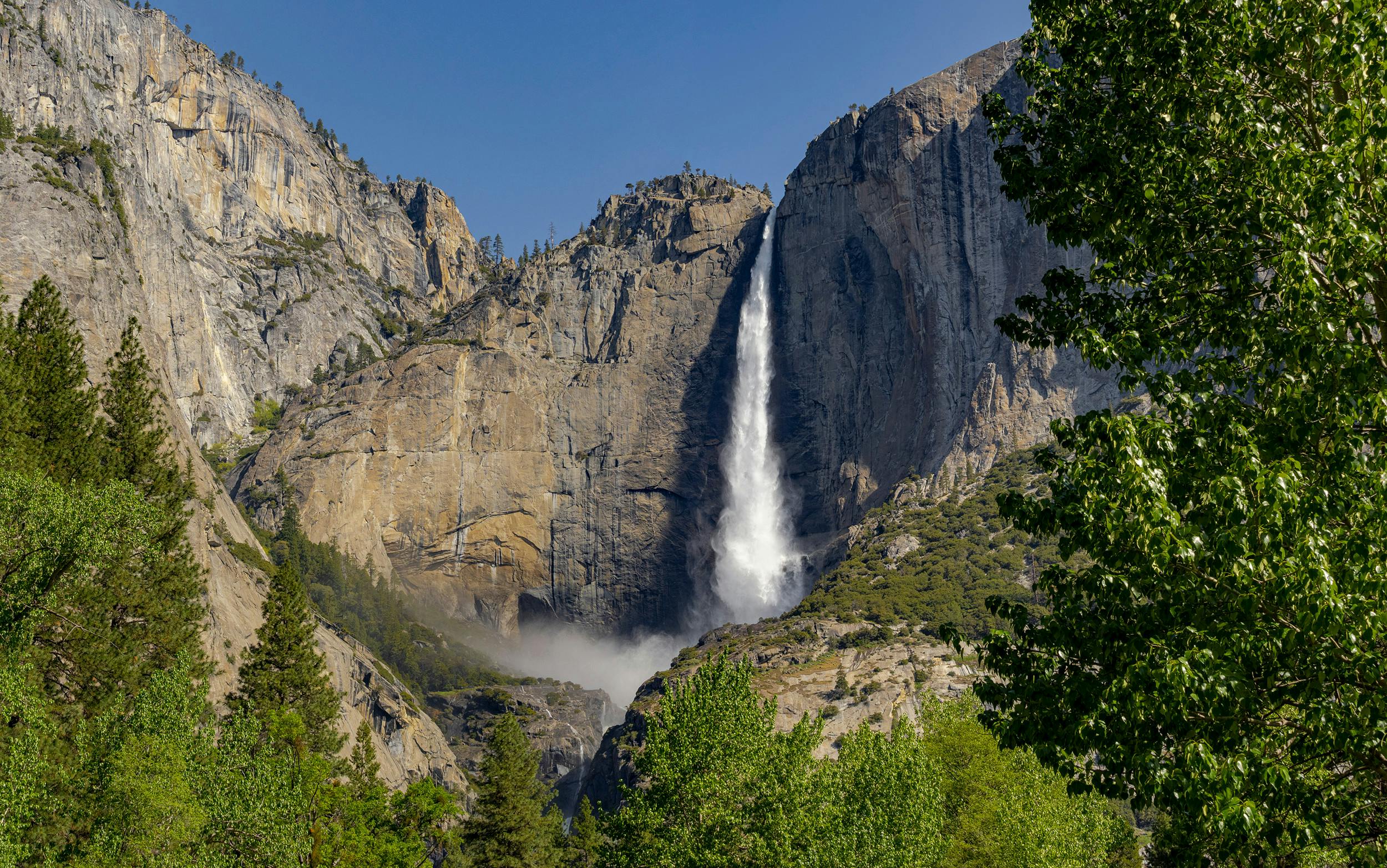 Yosemite National Park full-day tour.jpg