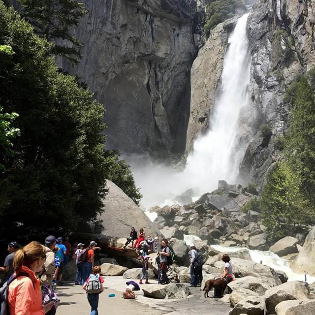 Yosemite National Park full-day tour 3.jpg