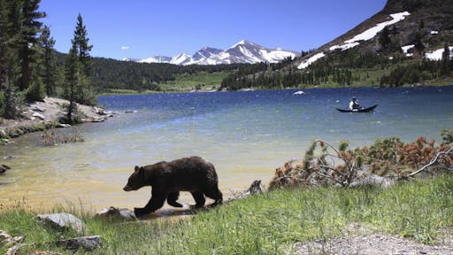 Yosemite National Park full-day tour 4.jpg