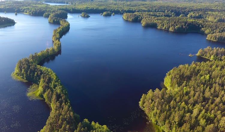 Full-day Liesjärvi National Park tour