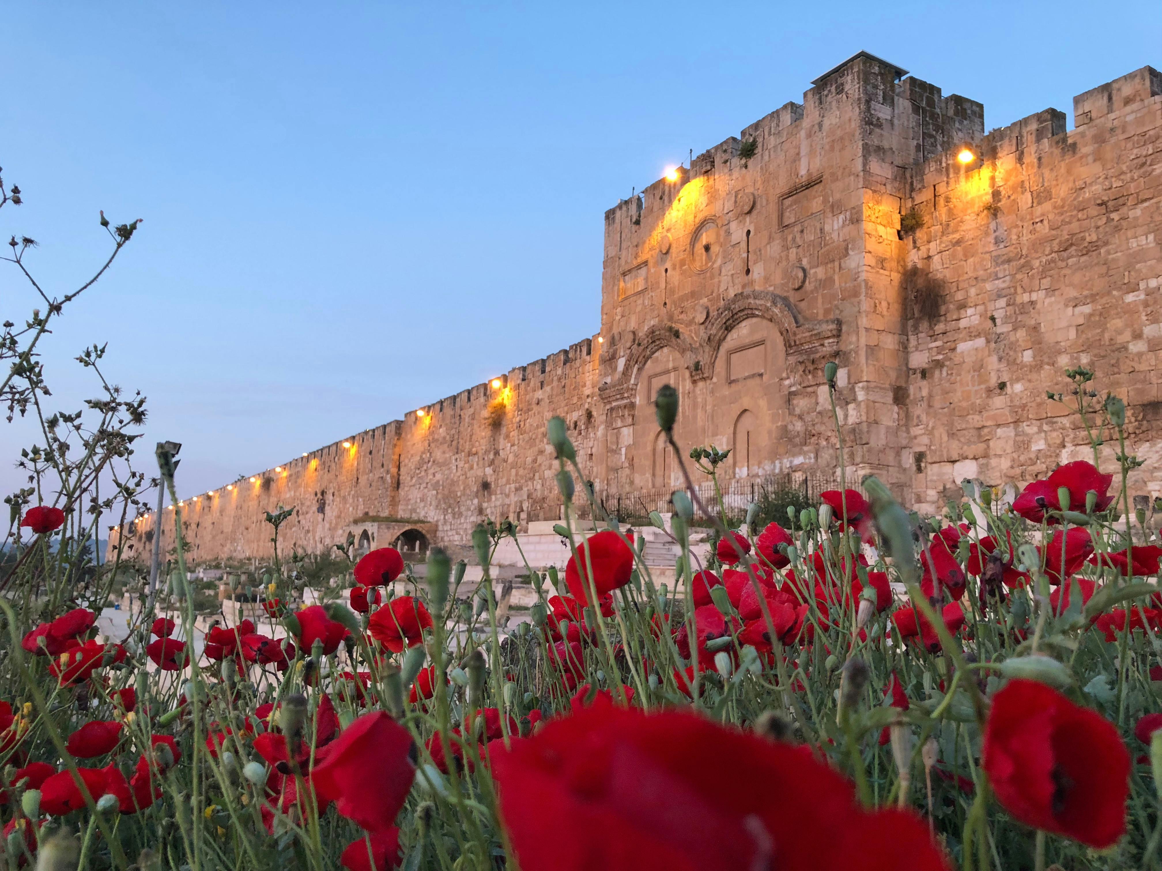 Walls of Jerusalem.jpg