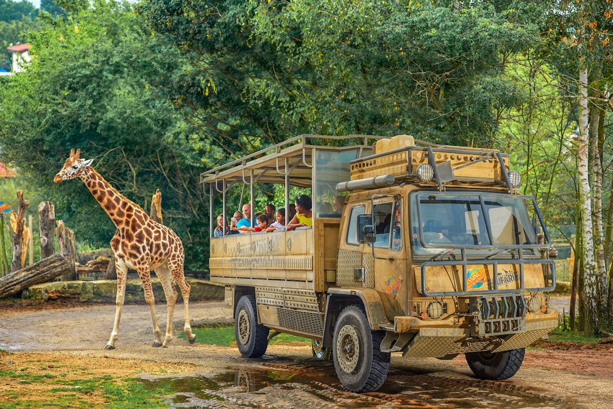 ZUFARI Ride.jpg