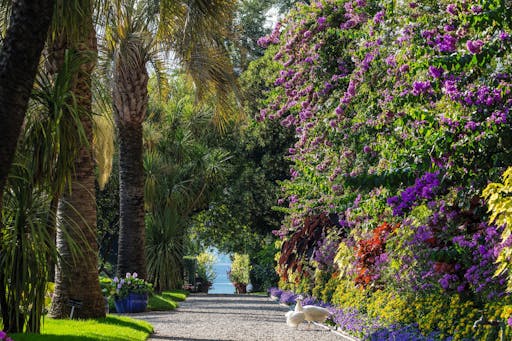 5. Isola Madre_Giardino Botanico_©Ph Dario Fusaro.jpg
