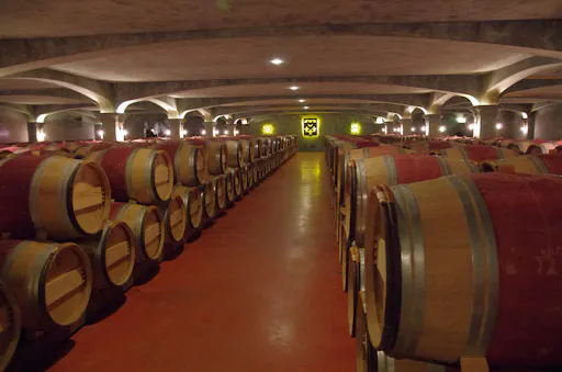 Ophorus - Graves Half (4).JPG