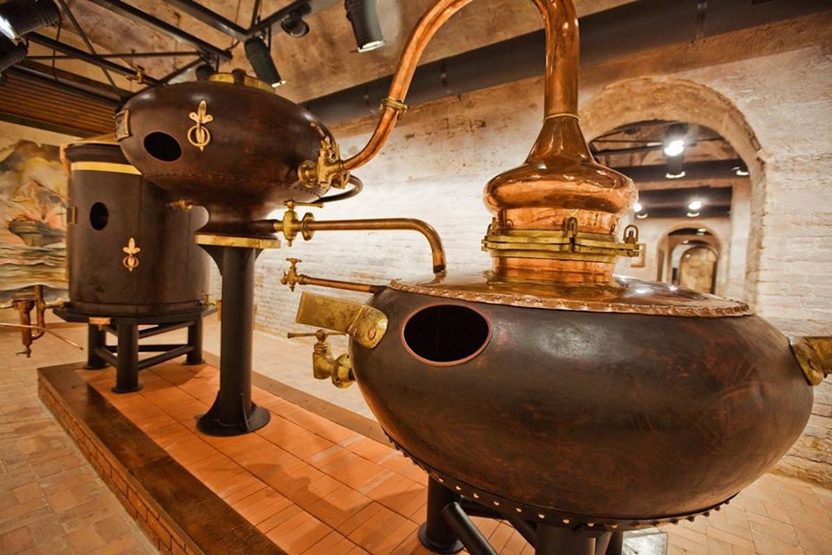 shustov museu tour 2.jpg
