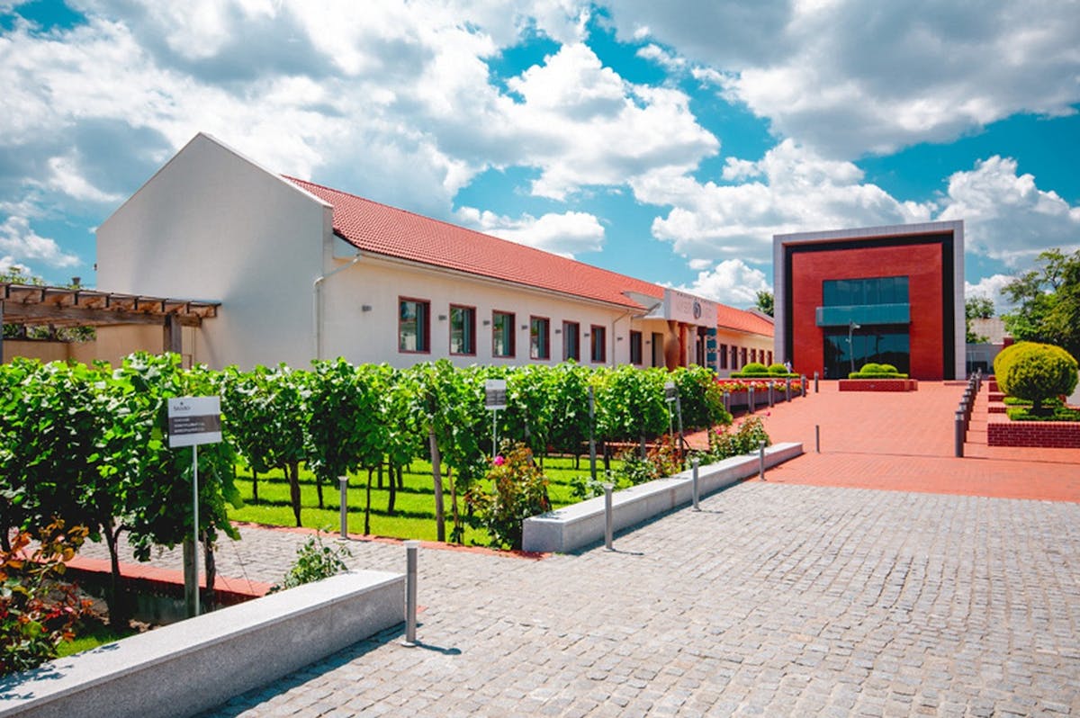 shabo winery tour 1.jpg