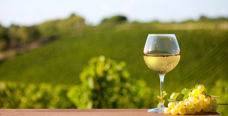 German wine route private full day trip from Strasbourg