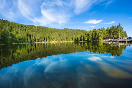 Ophorus - Baden Baden (1).jpeg