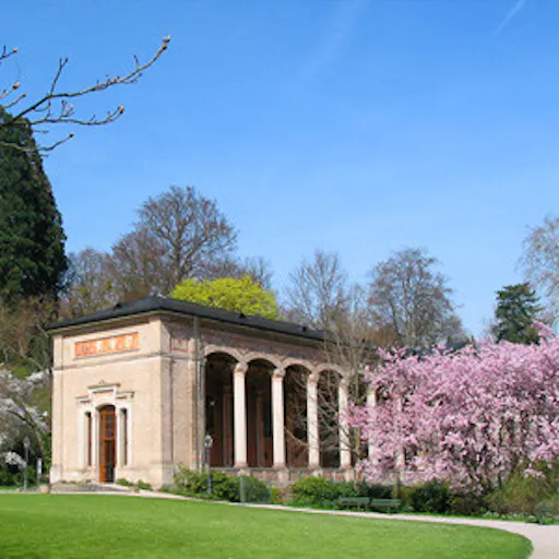 Ophorus - Baden Baden (1).jpg