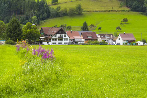 Ophorus - Baden Baden ( (4).jpeg