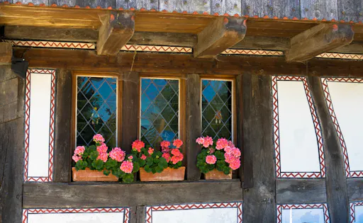 Oph - Pearls (5).jpeg