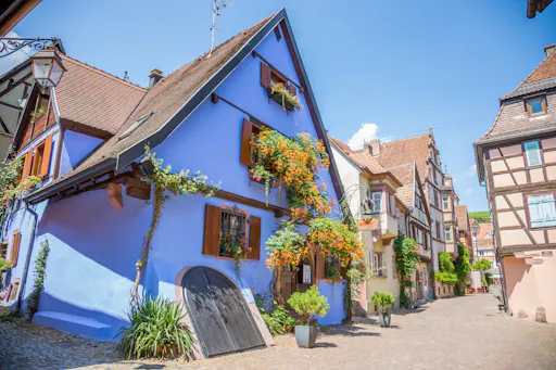 Oph - HD Wine Tour (1).jpeg