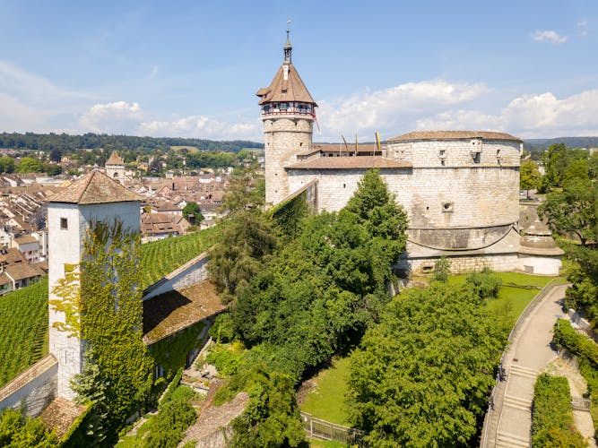 Private day tour to northern Switzerland from Zürich