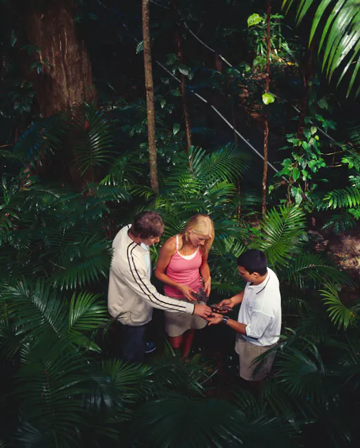 WCA - Rainforest interp.jpg