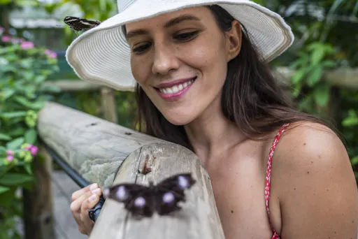 birdworld social media66.jpg