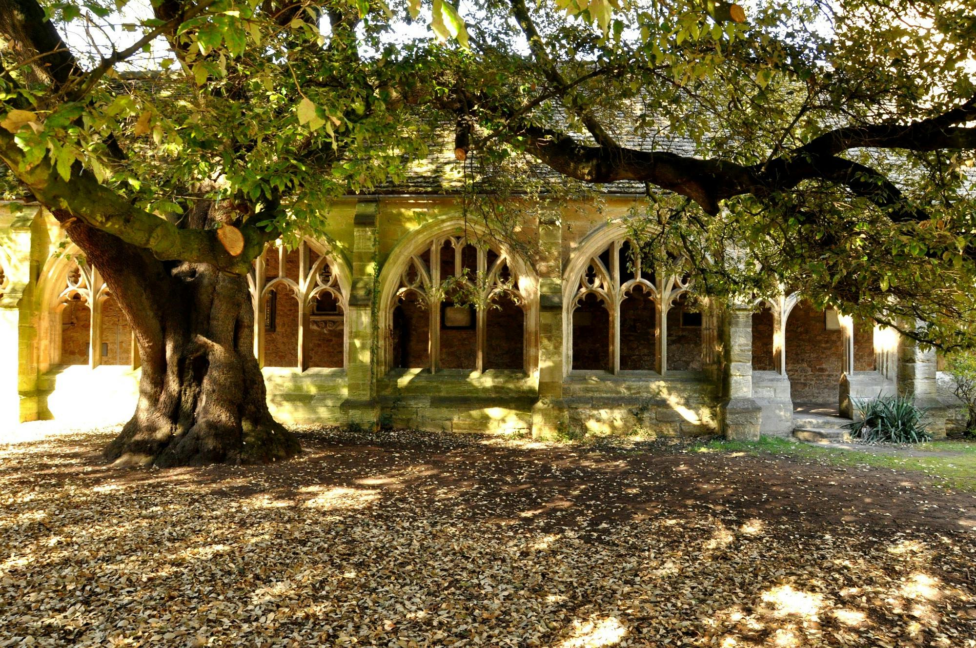 3 New College Cloisters With Tree.jpg