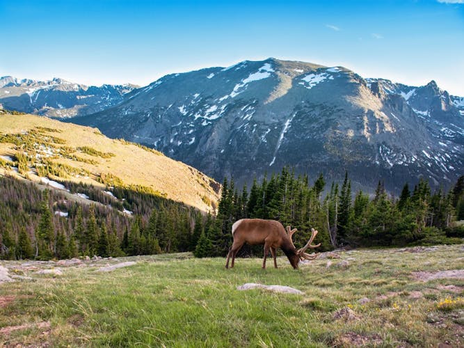 Rocky Mountain National Park Tour