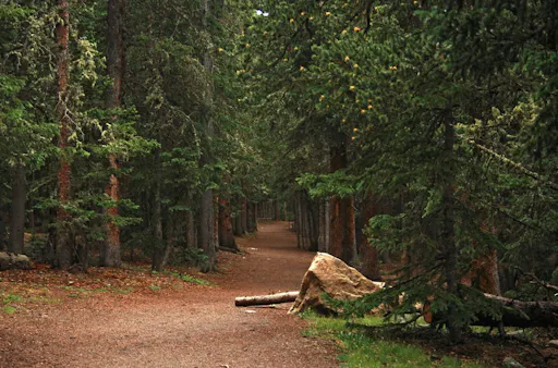 Scenic Mount Evans Tour 4.jpg