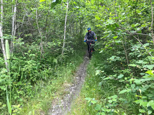 Mountain Biking Voss Forest_Outdoor Norway -4.jpg