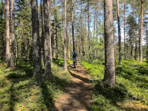 Mountain Biking Voss Forest_Outdoor Norway -10.jpg