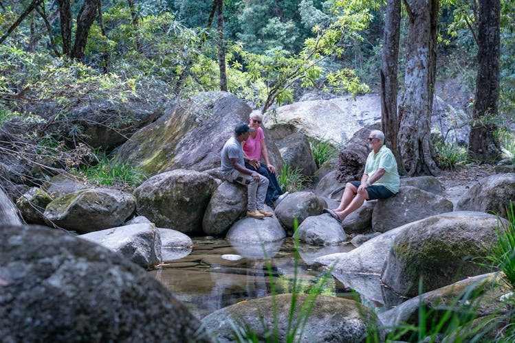 Private full day tour around Daintree and Mossman