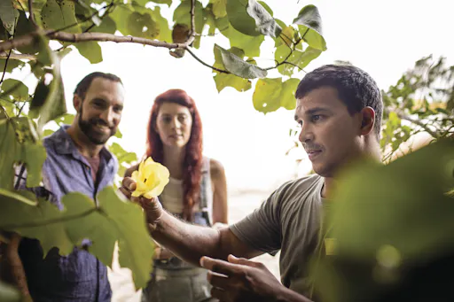 WCA - Bush Foods.jpg