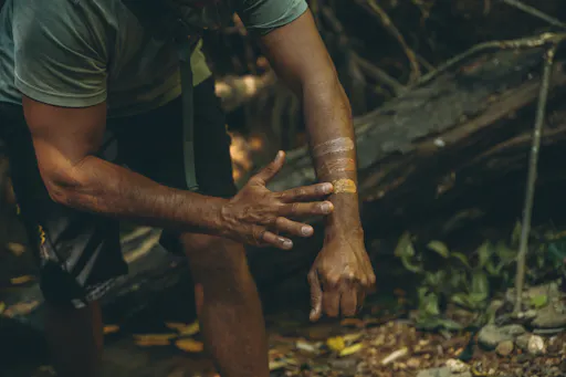 WCA - Ochre Interp.jpg