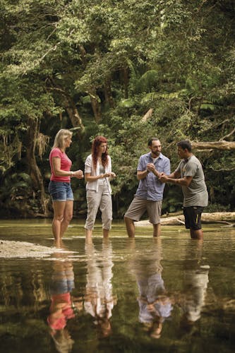 Private full day tour around Daintree and Mossman