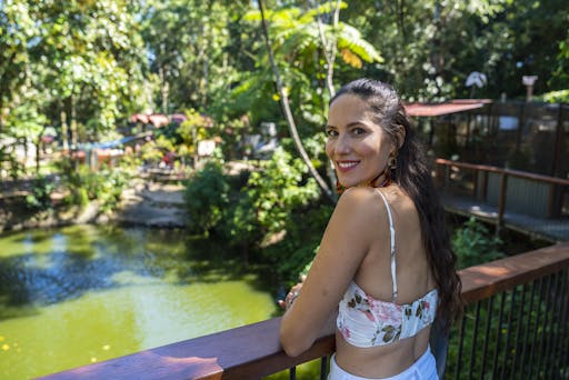 koala gardens1.jpg