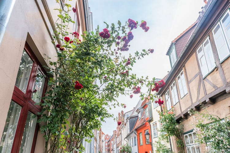 Lübeck's history and traditions private walking tour