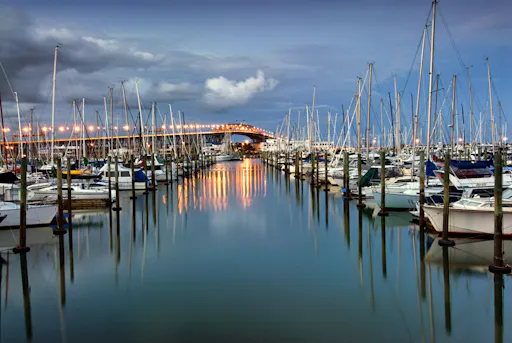 Auckland Marina.jpg
