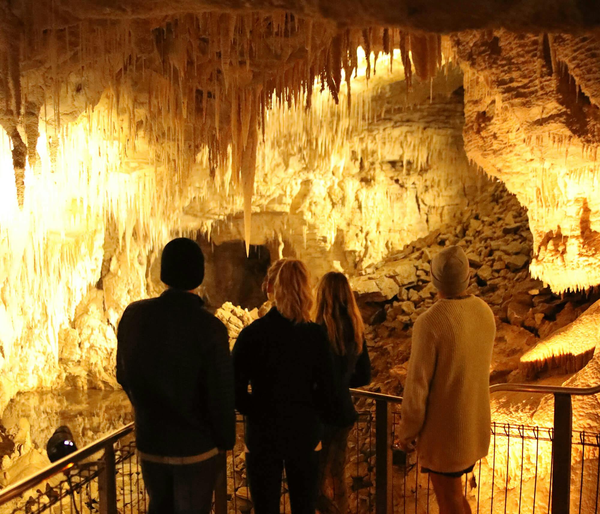 Waitomo Caves walking Tour.jpg