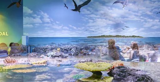 Coral Attoll (2).jpg