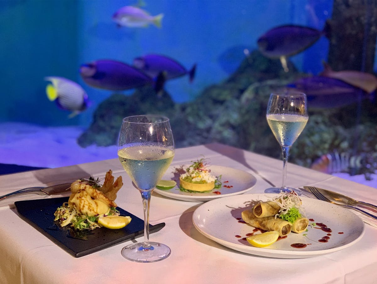 Entree Selection.jpg