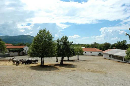 AdobeStock_1276239 (1).jpeg